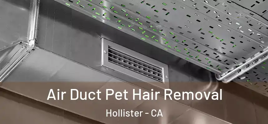 Air Duct Pet Hair Removal Hollister - CA