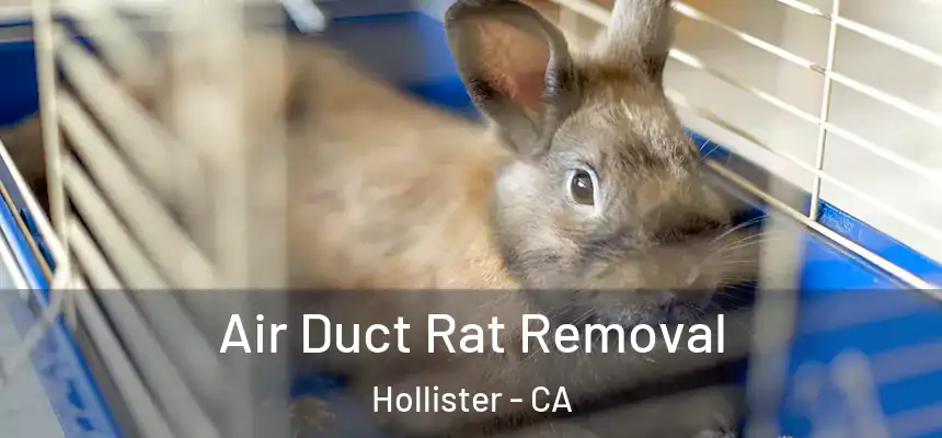 Air Duct Rat Removal Hollister - CA