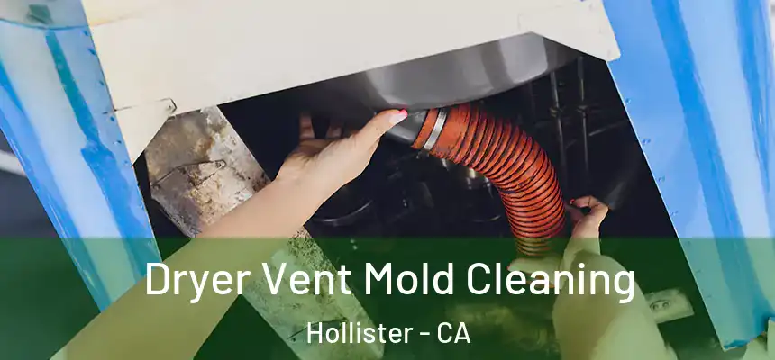  Dryer Vent Mold Cleaning Hollister - CA