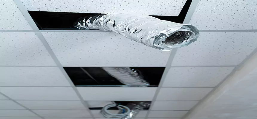 Our Air Duct Pet Hair Removal Services in Hollister, CA