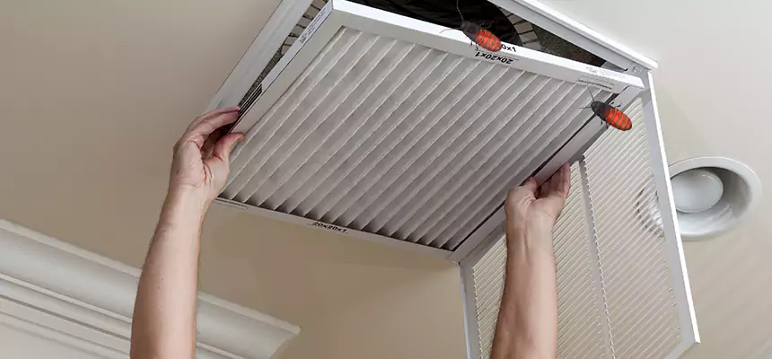 Our Insect Removal from Air Ducts Services in Hollister, CA
