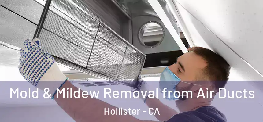 Mold & Mildew Removal from Air Ducts Hollister - CA