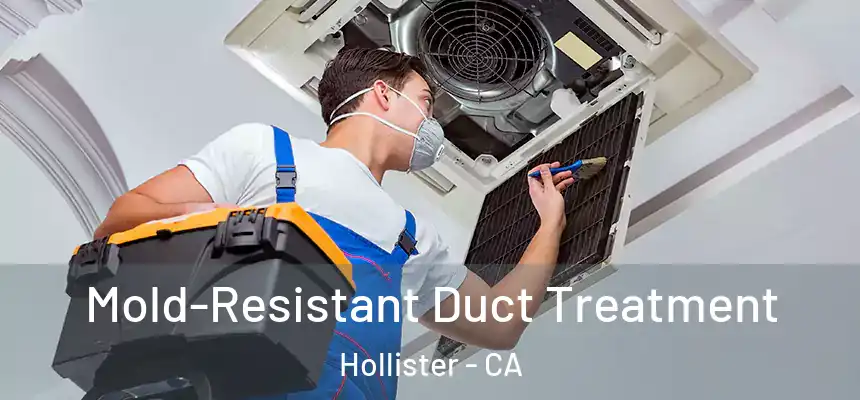 Mold-Resistant Duct Treatment Hollister - CA