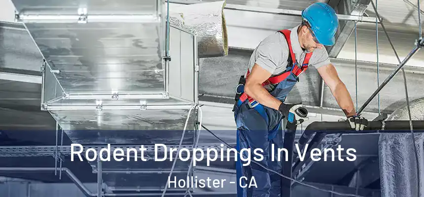  Rodent Droppings In Vents Hollister - CA