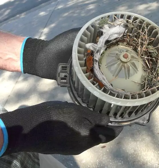 About Air Duct Mice Removal in Hollister, CA