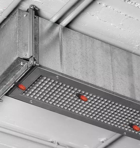 Affordable Insect Removal from Air Ducts in Hollister, CA