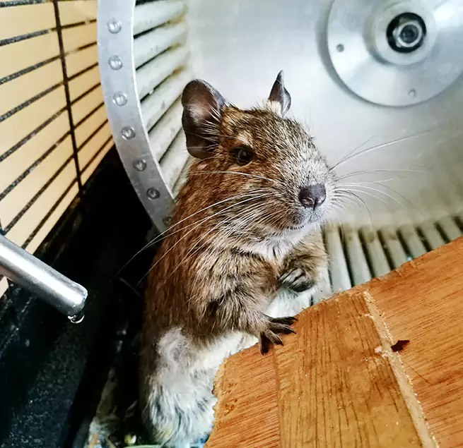 Why Homeowners & Businesses Trust Us Hollister, CA?