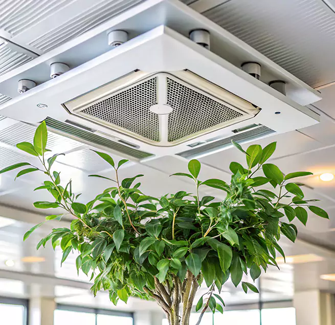 Why Homeowners & Businesses Trust Us in Hollister, CA?