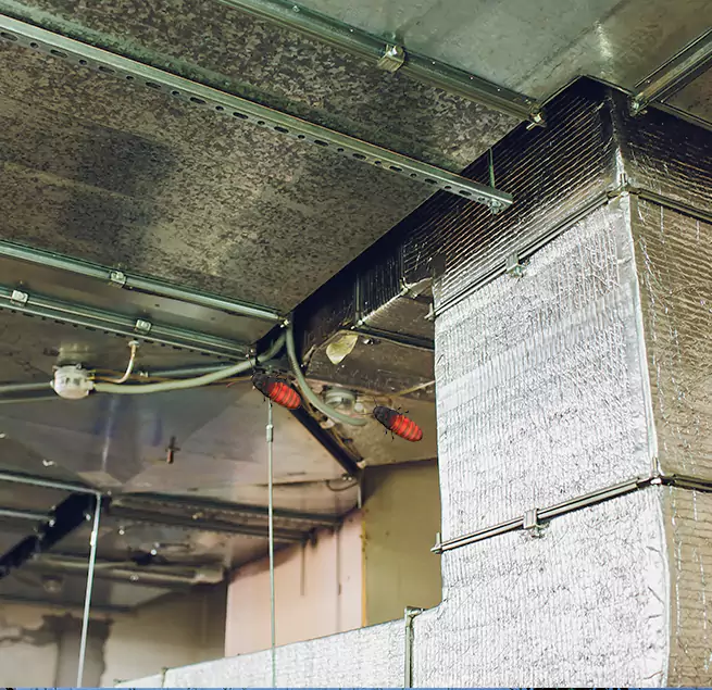 Why Homeowners & Businesses Trust Us Hollister, CA?